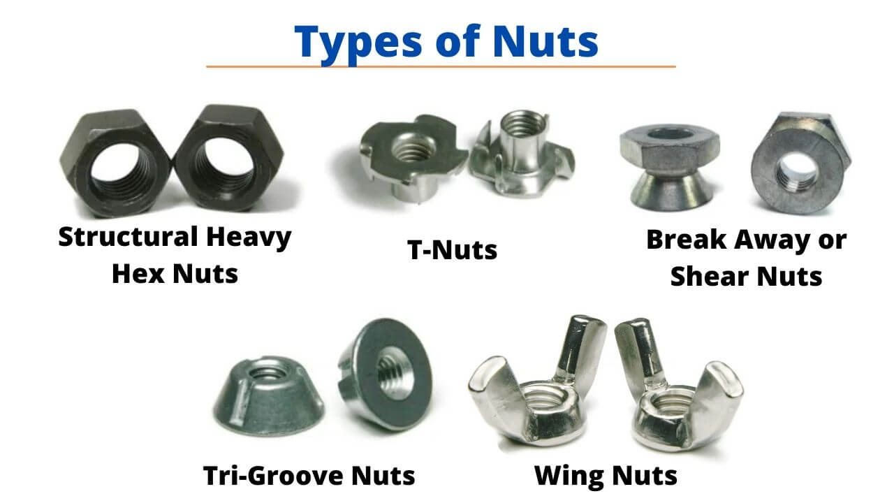 types of nuts