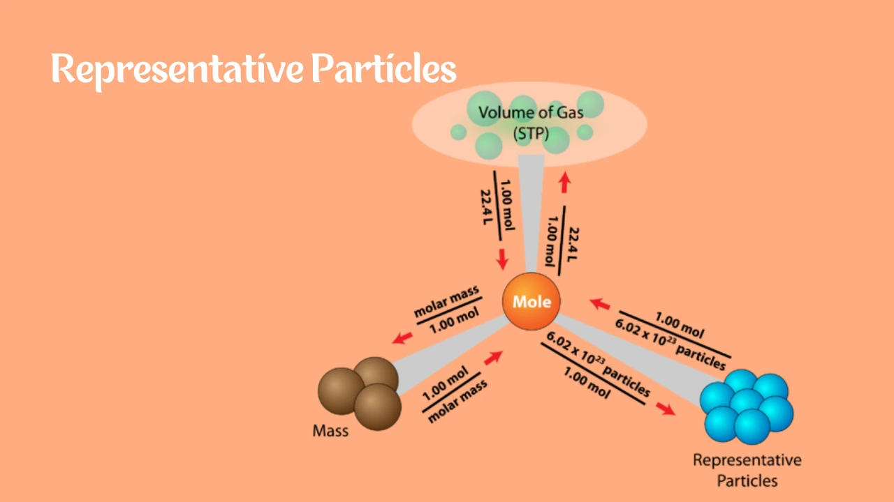 Representative Particles